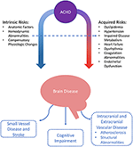 Frontiers | Adults With Complex Congenital Heart Disease ...