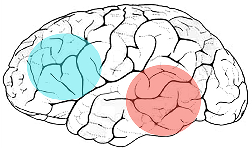 how-do-we-choose-words-when-we-speak-2023