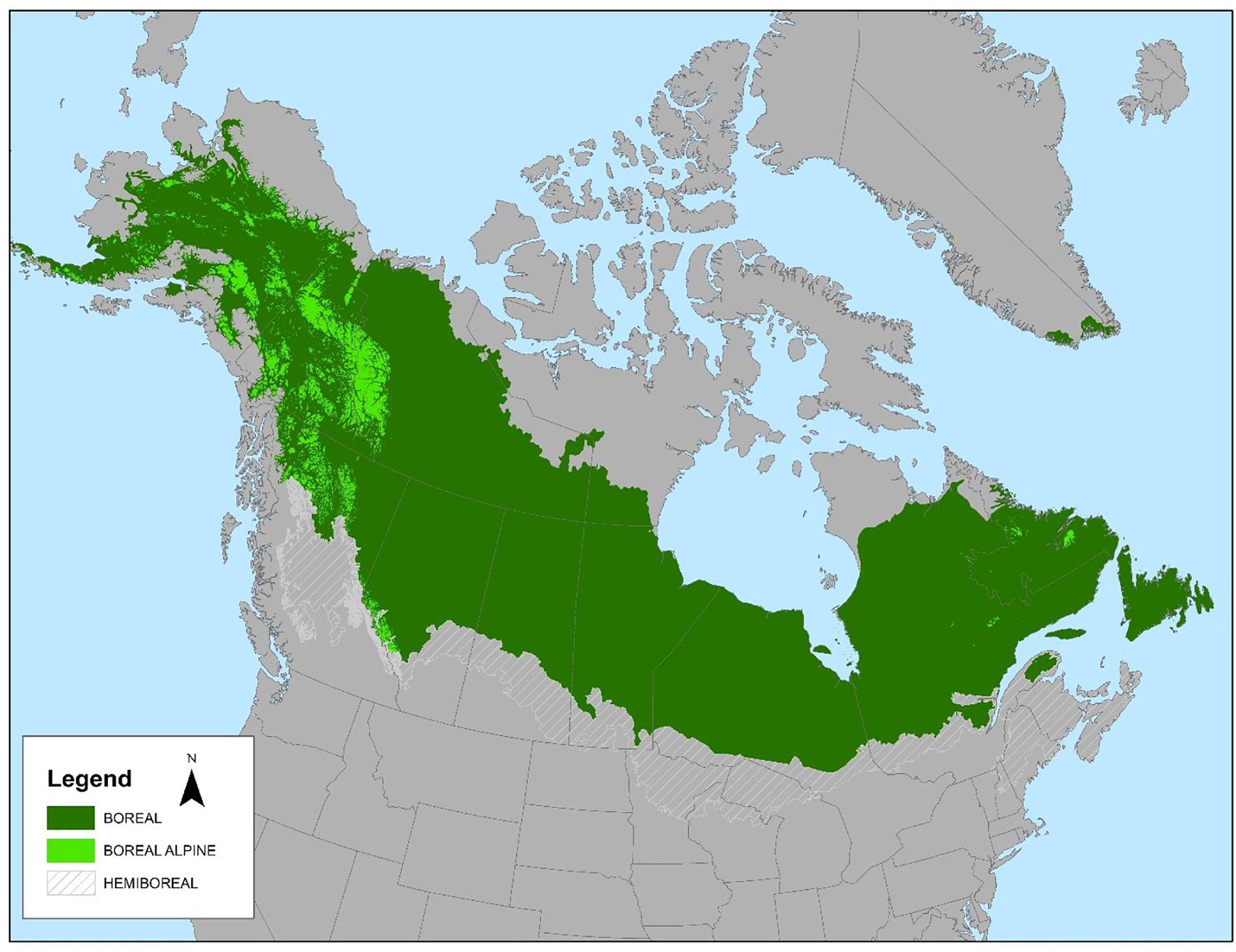 Frontiers  The State of Conservation in North America's Boreal Forest:  Issues and Opportunities