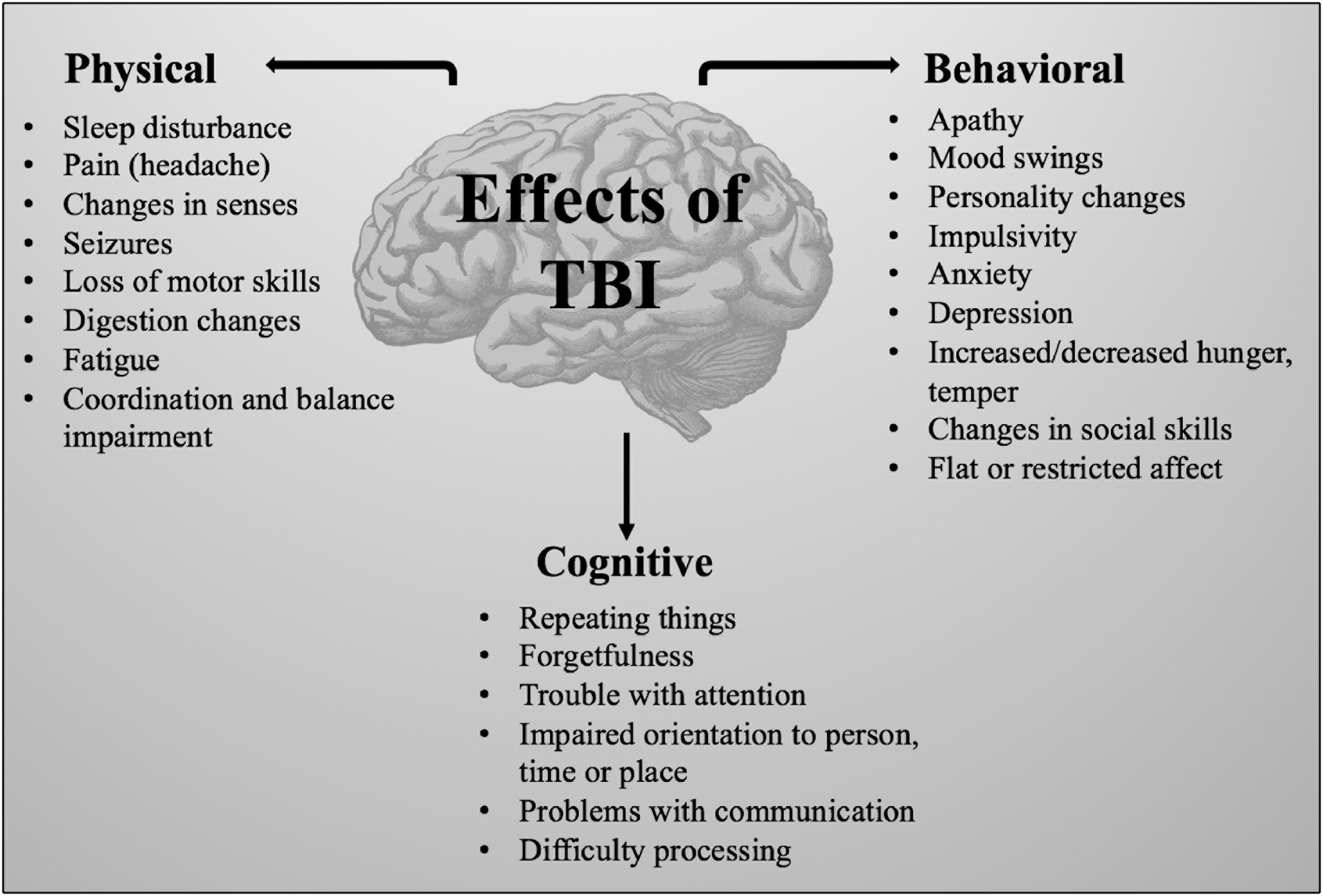 Frontiers Mammalian Models Of Traumatic Brain Injury And A Place For 