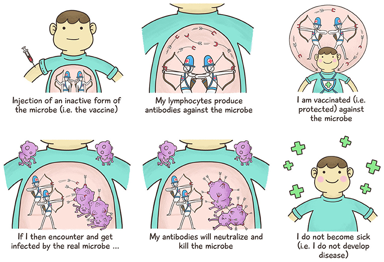 vaccines-shots-that-protect-you-frontiers-for-young-minds