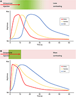 Frontiers | Application of Fluorescein Fluorescence in Vascular ...