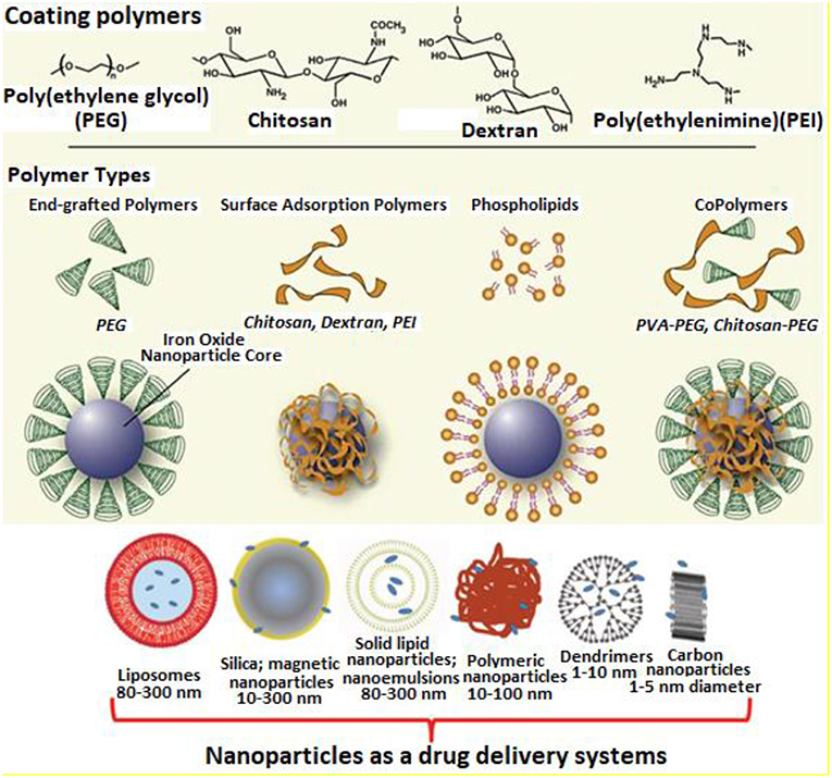 Magnetite-based nanoparticles and nanocomposites for recovery of