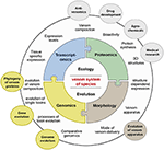 Frontiers | The Significance Of Comparative Genomics In Modern ...