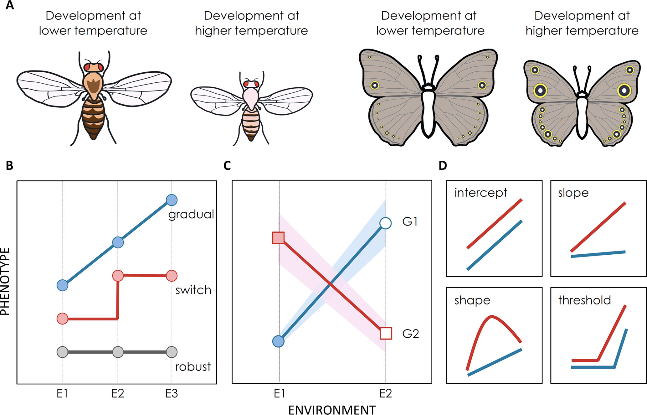 Frontiers Genomics Of Developmental Plasticity In Animals