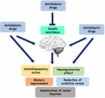 Frontiers | The Relevance of Insulin Action in the Dopaminergic System ...