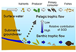 Frontiers | Increase in Fish Production Through Bottom-Up Trophic ...