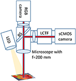 Frontiers | Quantitative Modulation of PpIX Fluorescence and Improved ...