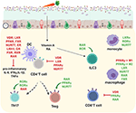 Frontiers | Nuclear Receptors Regulate Intestinal Inflammation in the ...