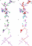 Frontiers | Cronobacter sakazakii, Cronobacter malonaticus, and ...