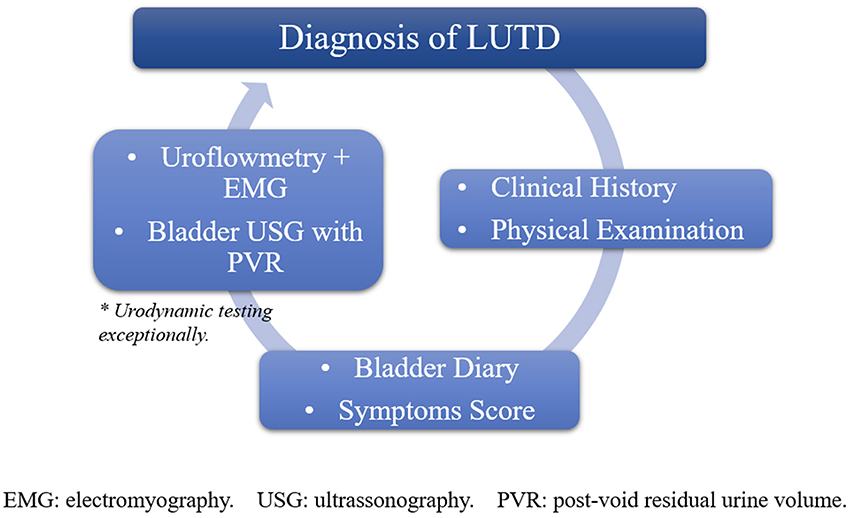 Lower Urinary Tract Obstruction: Diagnosis & Treatment