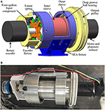 Frontiers | Modeling and Control of a Cable-Driven Rotary Series ...