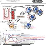 Frontiers | CD8+ T-Cell Response to HIV Infection in the Era of ...