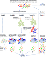 Frontiers | Deep Mining of Complex Antibody Phage Pools Generated by ...