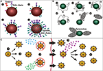 Frontiers | History of Envenoming Therapy and Current Perspectives ...