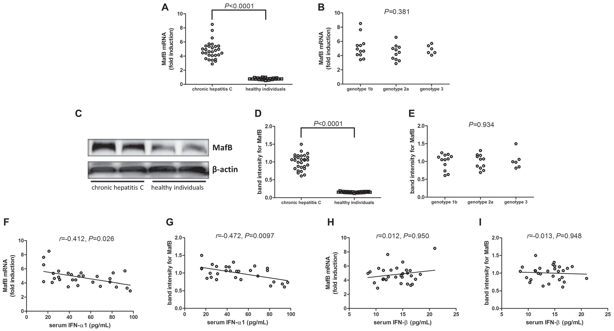 Frontiers | Transcription Factor MafB Suppresses Type I Interferon ...