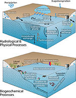 Frontiers | Stormwater Ponds in the Southeastern U.S. Coastal Plain ...