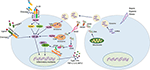 Frontiers | DAMPs and NETs in Sepsis | Immunology