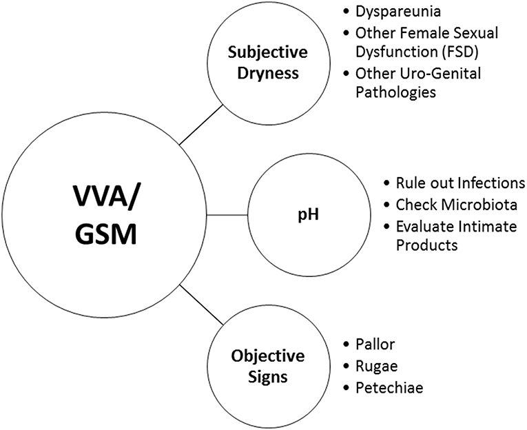 Frontiers  Addressing Vulvovaginal Atrophy (VVA)/Genitourinary Syndrome of  Menopause (GSM) for Healthy Aging in Women