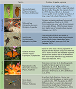 Frontiers | Mechanisms and Consequences of Partial Migration in Insects ...