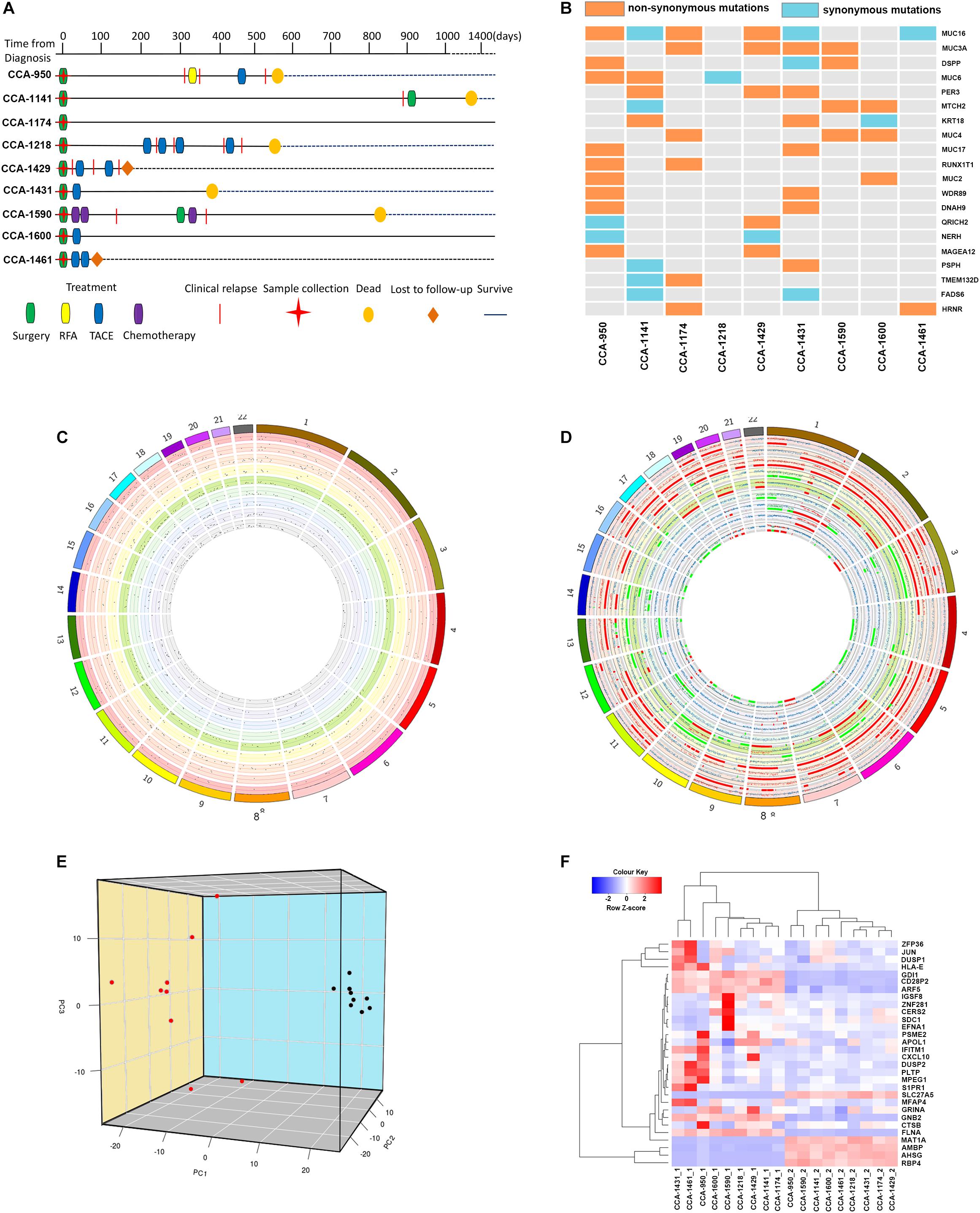 Frontiers Genomic And Transcriptomic Landscape Of Tumor Clonal