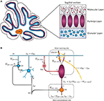 Frontiers | The Concept of Transmission Coefficient Among Different ...