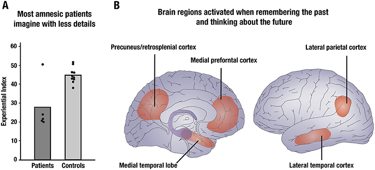 图2 -大脑区域重要的回忆过去时也积极想象未来。