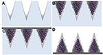 Frontiers | Non-invasive Production of Multi-Compartmental ...