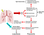 Frontiers | Radiation-Induced Lung Injury (RILI) | Oncology