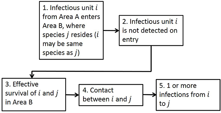 Risk of African swine fever virus introduction into the United