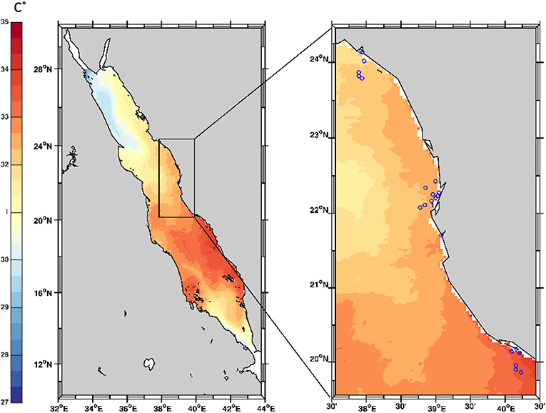 شكل 3 - مواقع البحث عن مرض الحزام الأسود (BBD) في المرجان في البحر الأحمر.