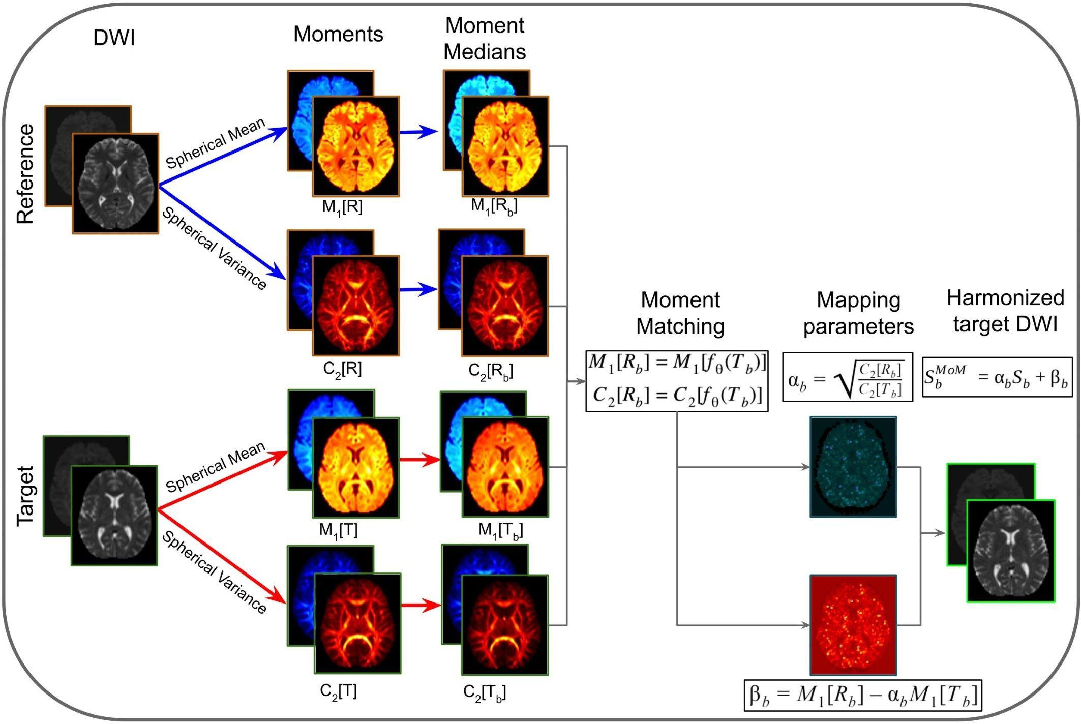 Frontiers Harmonization Of Brain Diffusion Mri Concepts And Methods Neuroscience