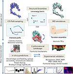 Frontiers | Large-Scale Conformational Changes and Protein Function ...