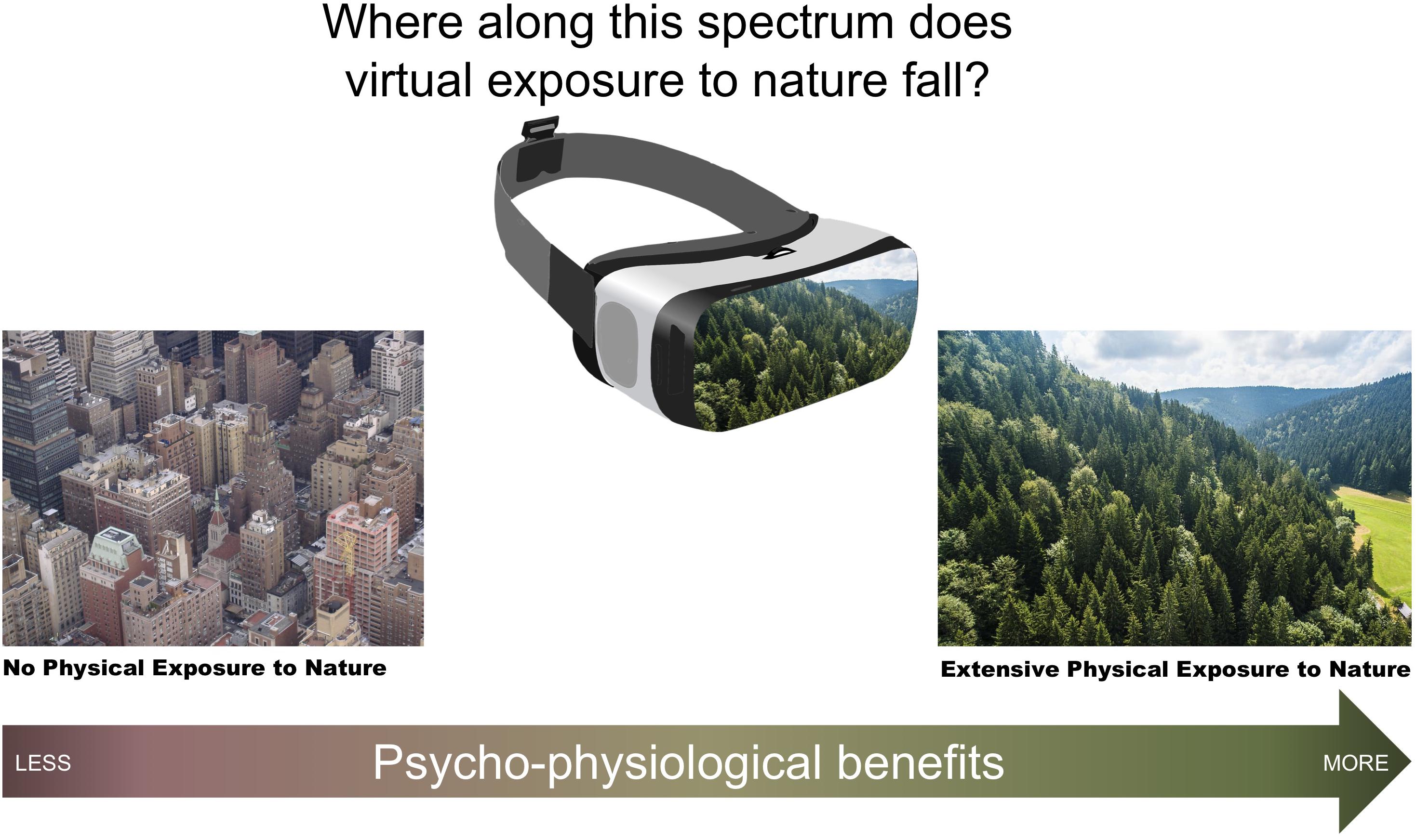 Frontiers Can Simulated Nature Support Mental Health Comparing Short Single Doses Of 360 Degree Nature Videos In Virtual Reality With The Outdoors Psychology