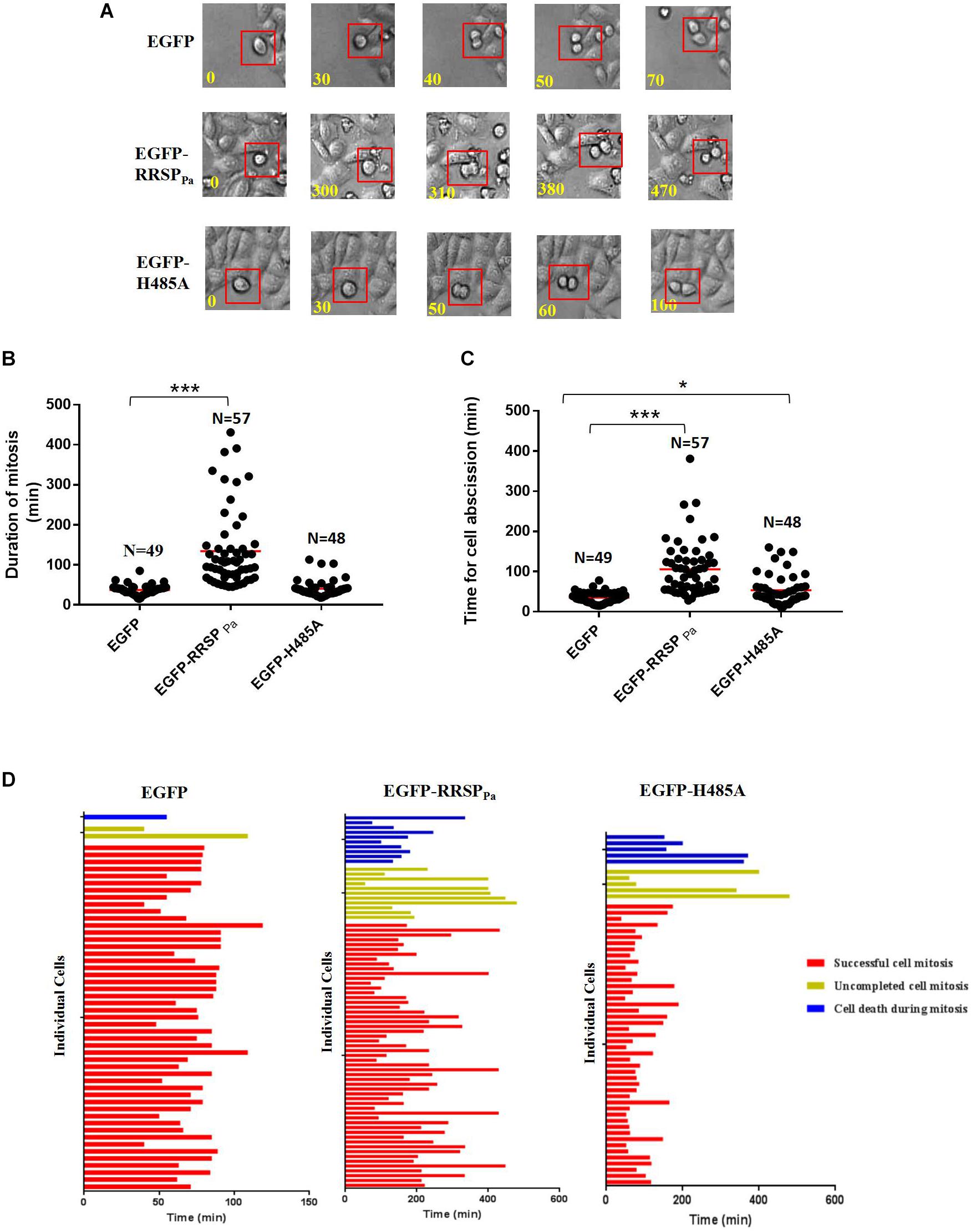 Frontiers | The Photorhabdus Virulence Cassettes RRSP-Like Effector ...