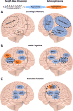 Frontiers | Cognition and Related Neural Findings on Methamphetamine ...