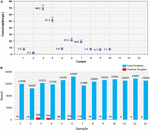 Frontiers | Development of the Droplet Digital PCR to Detect the ...