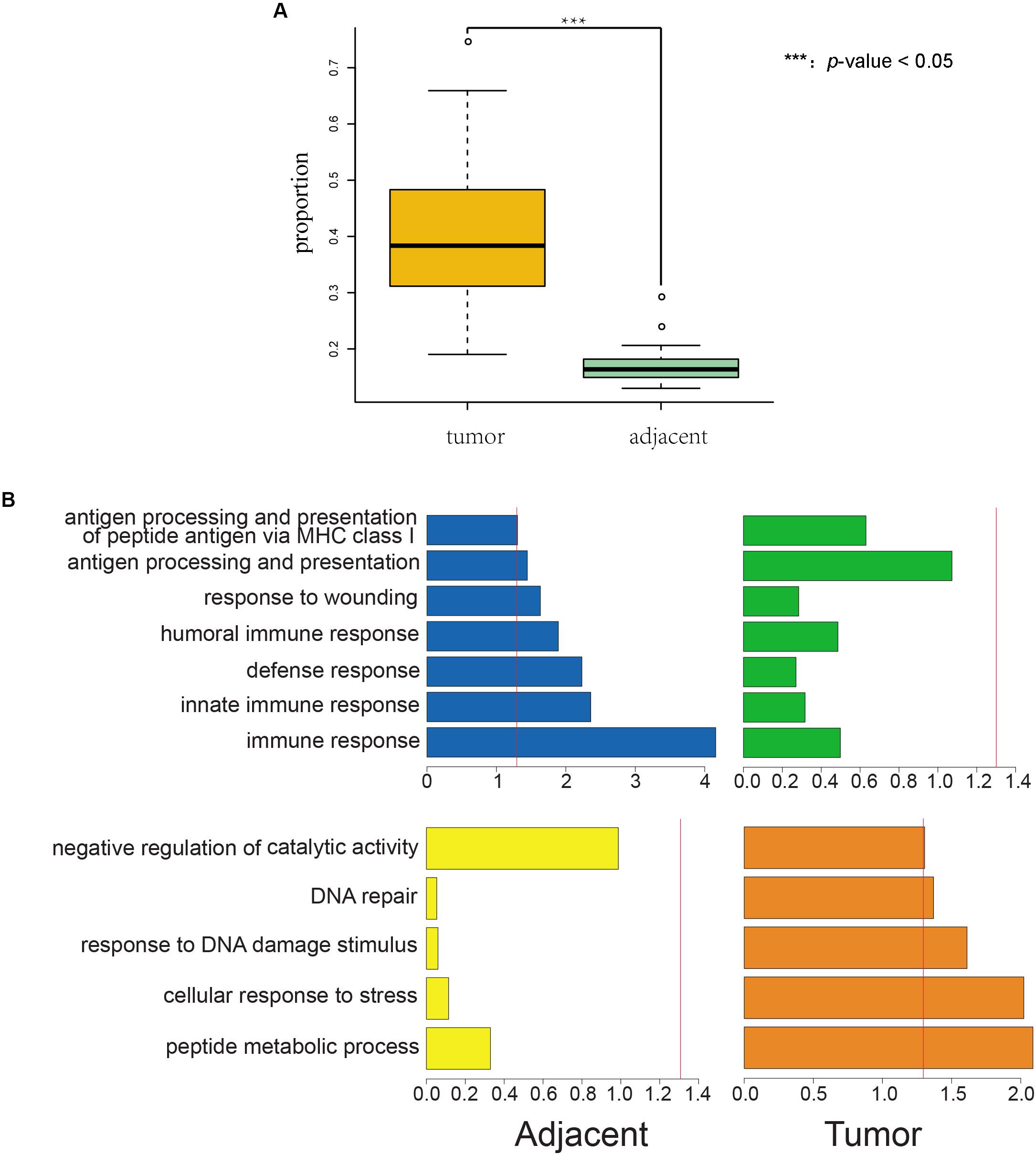 Frontiers Natural Selection On Exonic Snps Shapes Allelic Expression Imbalance Aei Adaptability In Lung Cancer Progression Genetics