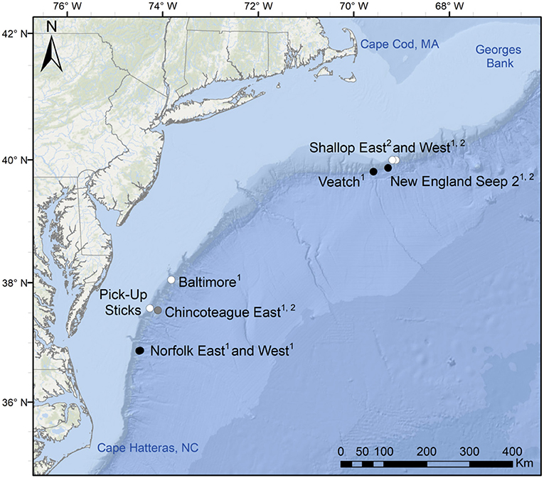 Frontiers Methane Seeps On The Us Atlantic Margin And Their Potential Importance To Populations Of The Commercially Valuable Deep Sea Red Crab Chaceon Quinquedens