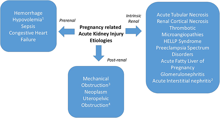 Assessment of Obstetric Risk Factors for Postpartum Urinary