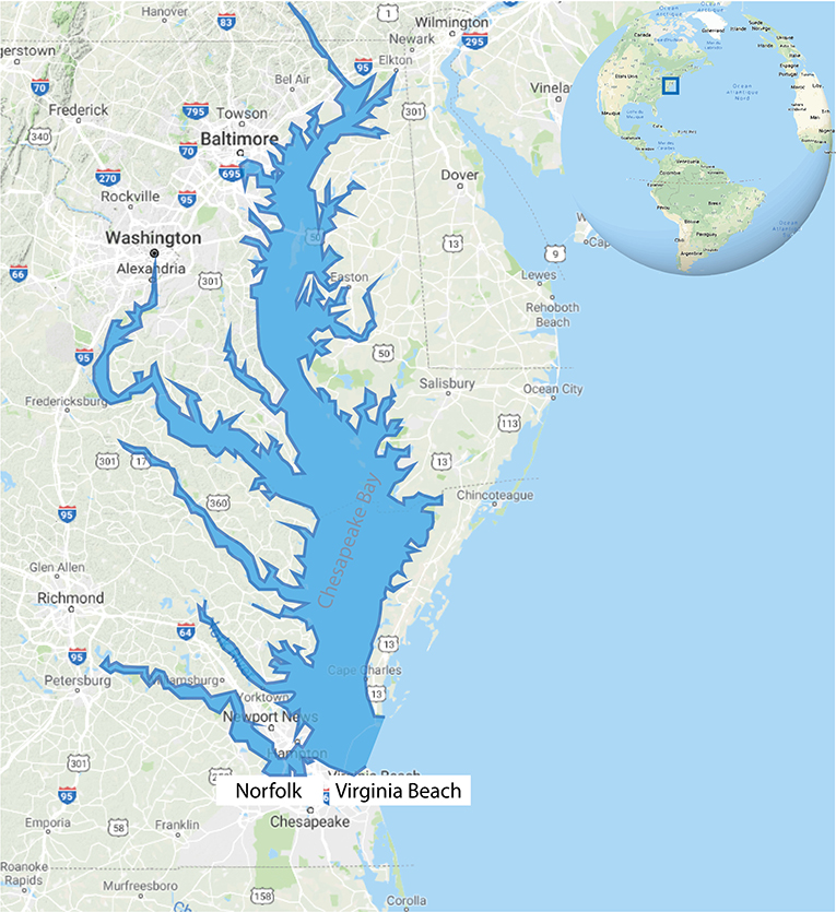 图2 -图的切萨皮克湾,美国(©谷歌地图)。