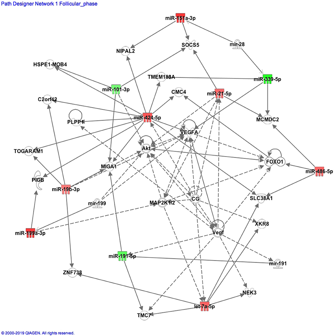 Frontiers | microRNA Expression in Women With and Without Polycystic ...