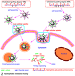 Frontiers | Nanomedicines: A Potential Treatment for Blood Disorder ...