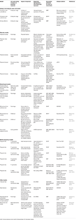 Frontiers | Phthalate Exposure and Long-Term Epigenomic Consequences: A ...