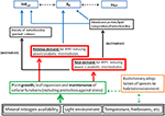 Frontiers | Plasticity of Leaf Respiratory and Photosynthetic Traits in ...