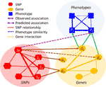 Frontiers | Heterogeneous Multi-Layered Network Model For Omics Data ...