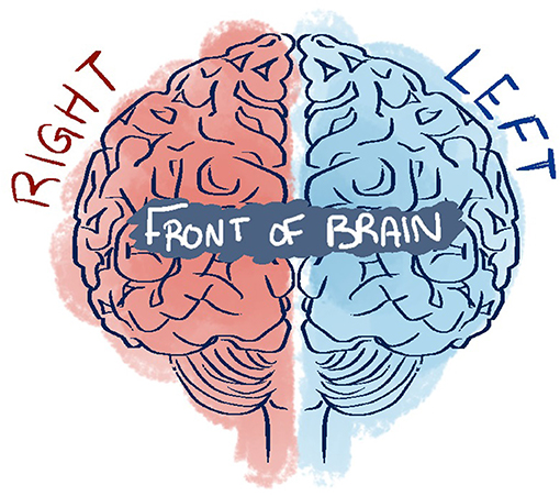 Neuro-Myths in the Classroom · Frontiers for Young Minds