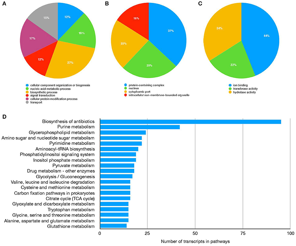 Frontiers Gene Expression In The Salivary Gland Of Rhipicephalus Boophilus Microplus Fed On Tick Susceptible And Tick Resistant Hosts Cellular And Infection Microbiology