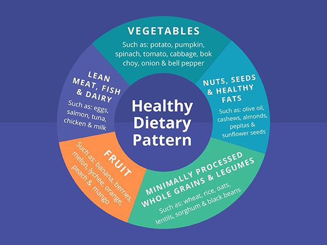 图2 -典型的健康饮食模式包括蔬菜、水果、全谷物、瘦肉、奶制品和健康脂肪。