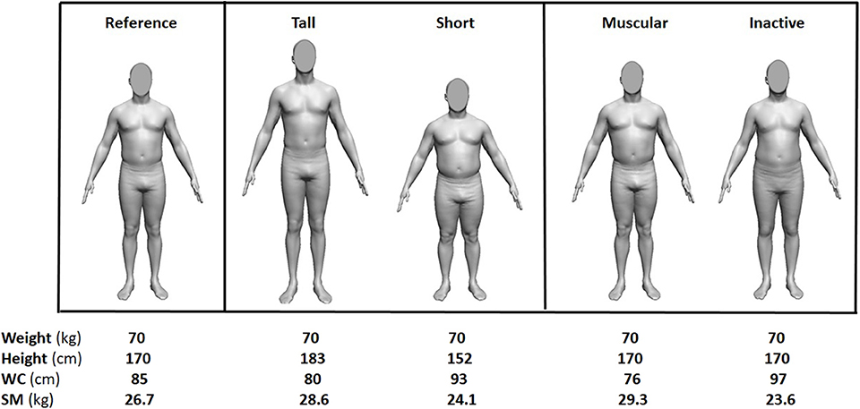 Soehnle - Body Balance Shape F4 Scale - Muscle Mass